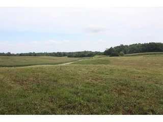 Property photo 55 - LAND AUCTION - 1,193+/- ACRES IN 14 TRACTS IN PIKE & GIBSON COUNTY, INDIANA